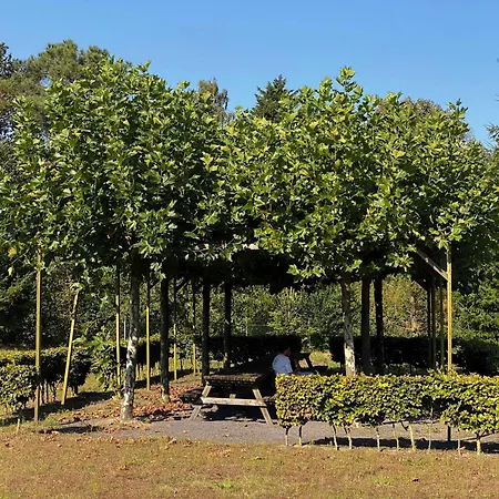 Summio Bosparc De Hoevenaer *