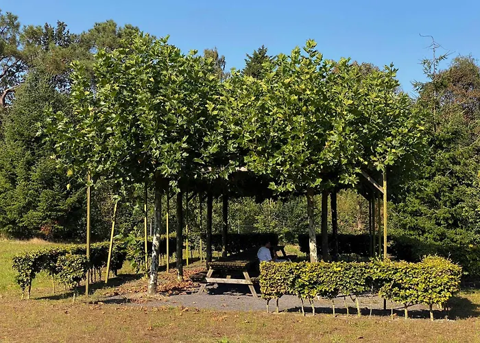 Summio Bosparc De Hoevenaer *